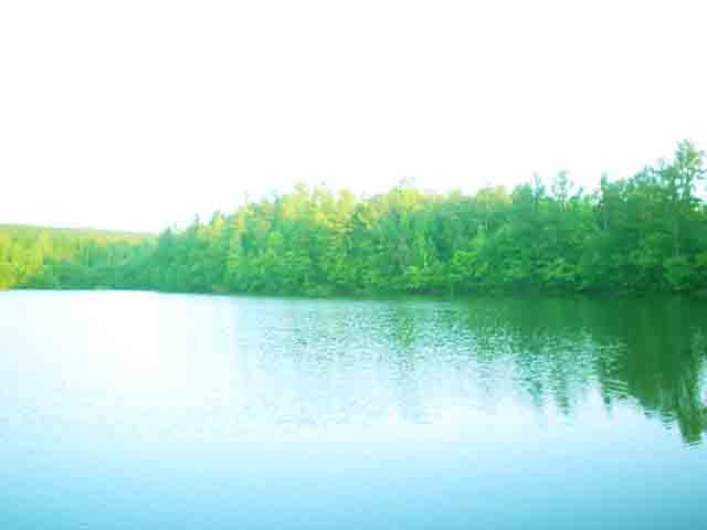 Marsh Mountain Rd, Pinson, AL for sale Primary Photo- Image 1 of 1