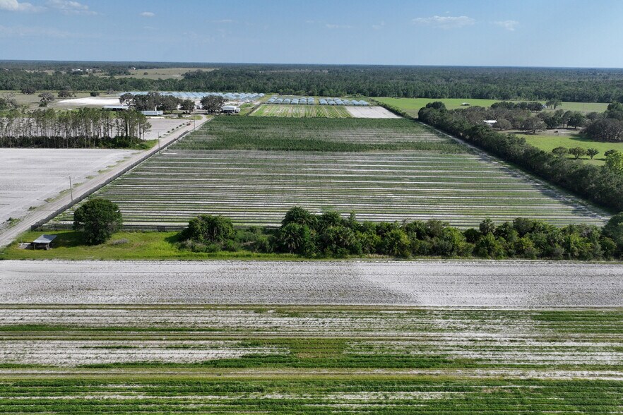 30815 Taylor Grade Rd, Duette, FL 34219 Manatee County Farmland