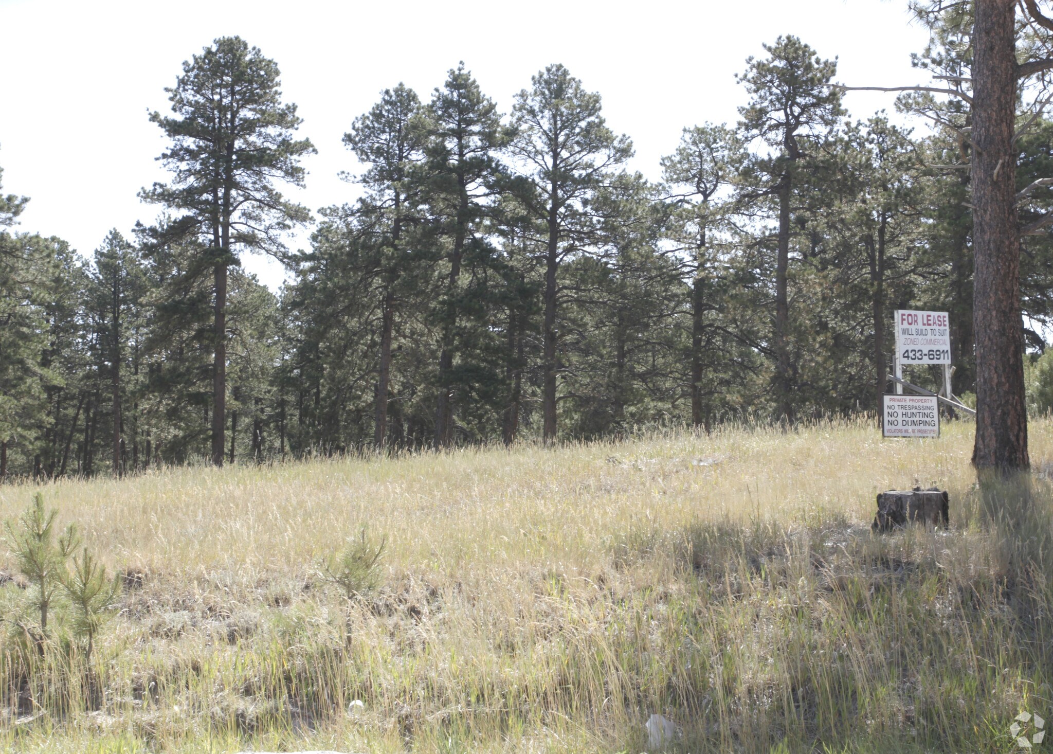Forest Park Dr, Elizabeth, CO for sale Primary Photo- Image 1 of 1