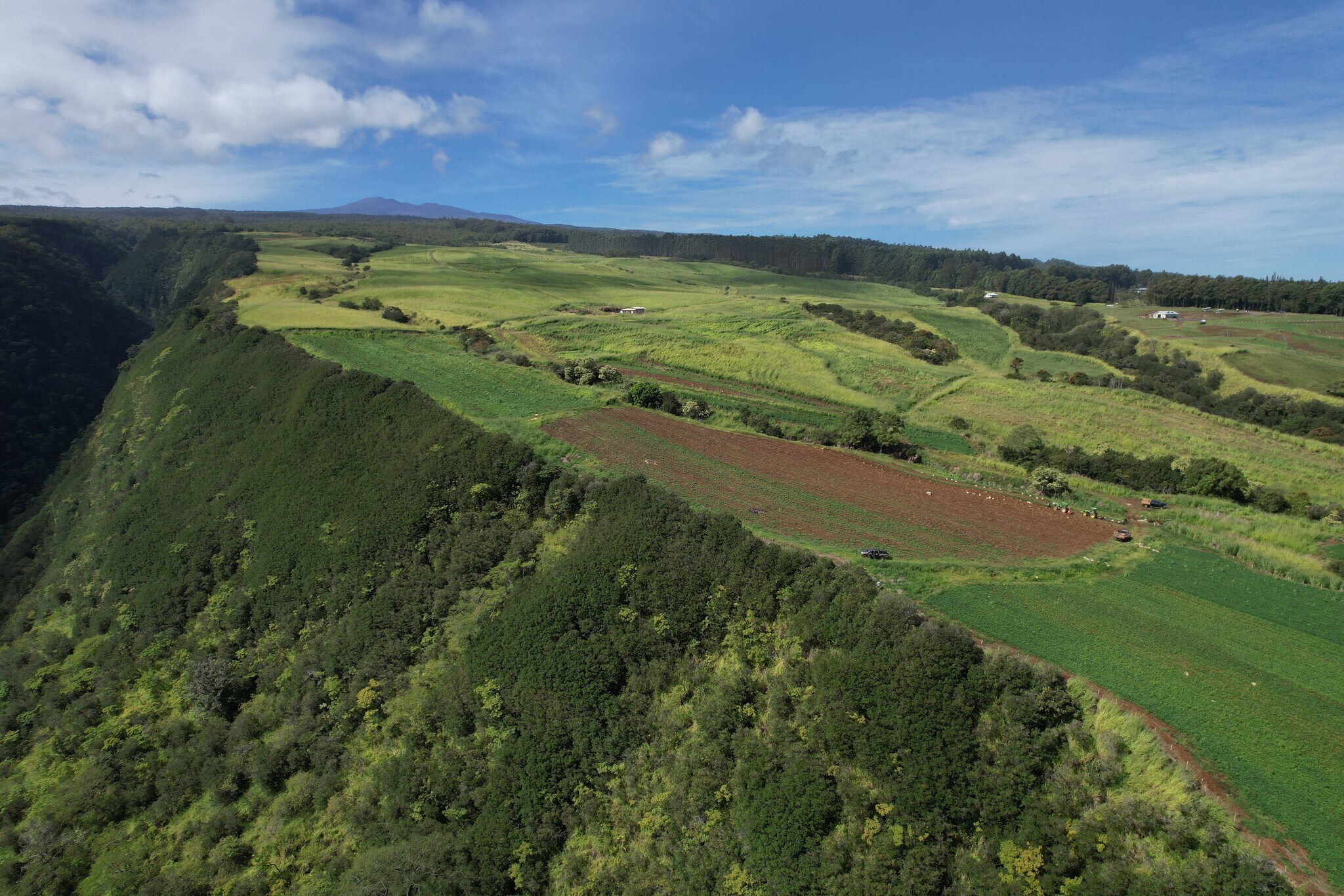 34-1475 Hawaii Belt, Papaaloa, HI for sale Aerial- Image 1 of 1