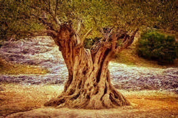 Land in Rossell for sale - Building Photo - Image 1 of 1