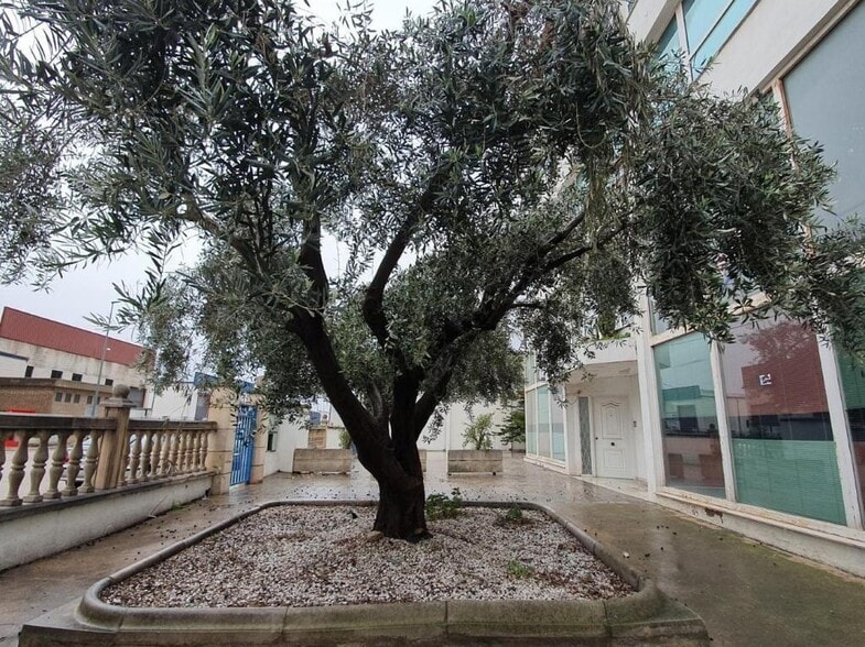 Carrer dels Moliners, Alzira, Valencia for sale - Building Photo - Image 3 of 15