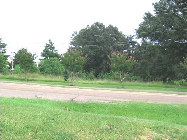 0 Pear Orchard Rd, Ridgeland, MS for sale Primary Photo- Image 1 of 1