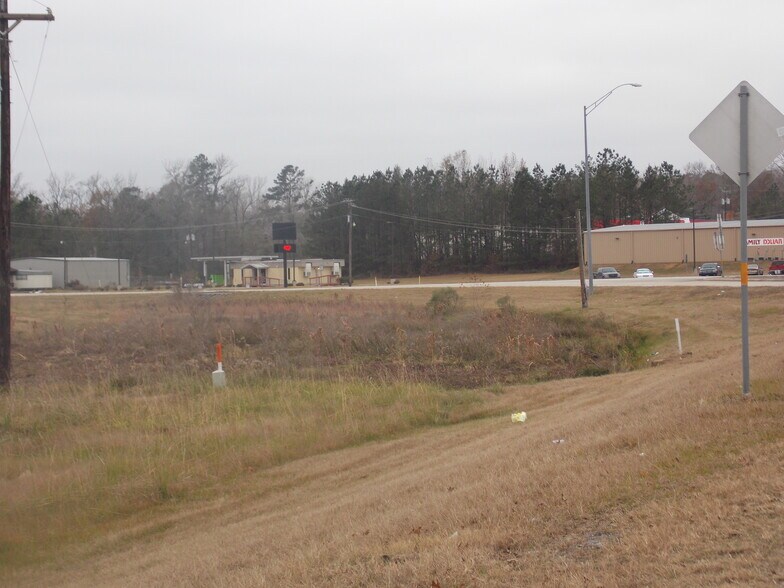 Highway 87 S, Newton, TX for sale - Primary Photo - Image 1 of 1