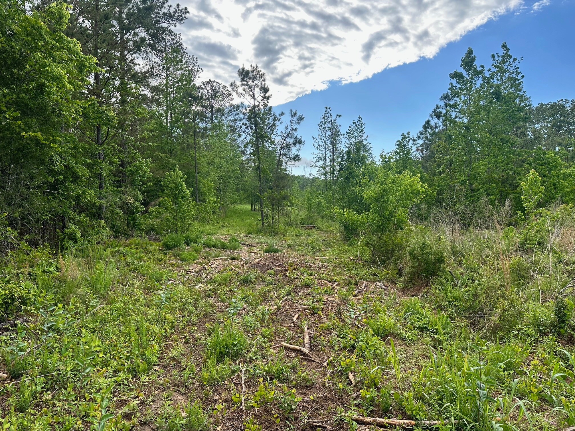 Satcher Road Rd, Taylorsville, GA for sale Building Photo- Image 1 of 1