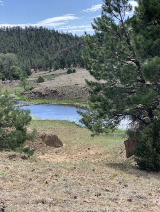 Highway 434-Guadalupita, Mora, NM 87732 - Cisneros Ranch | LoopNet