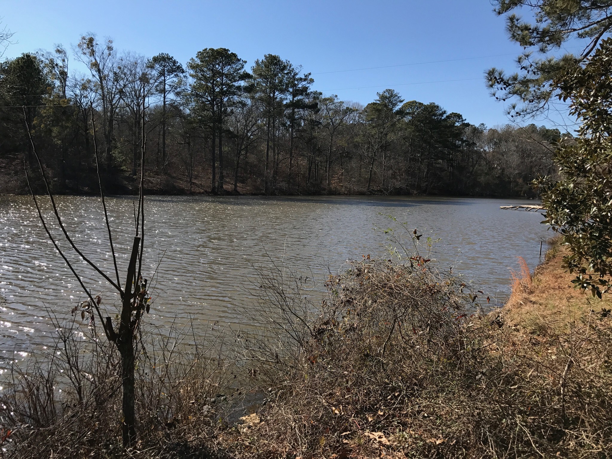 1777 Iris Dr SE, Conyers, GA for sale Primary Photo- Image 1 of 1