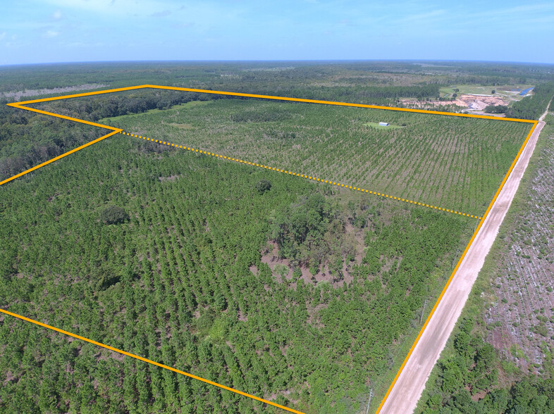 1160 County Road 204, Hastings, FL for sale - Aerial - Image 1 of 1