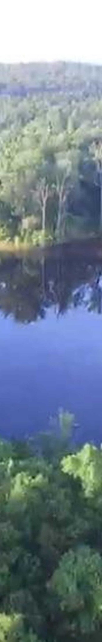 1404-1434 Ridgeway Rd, Lugoff, SC for sale Building Photo- Image 1 of 1