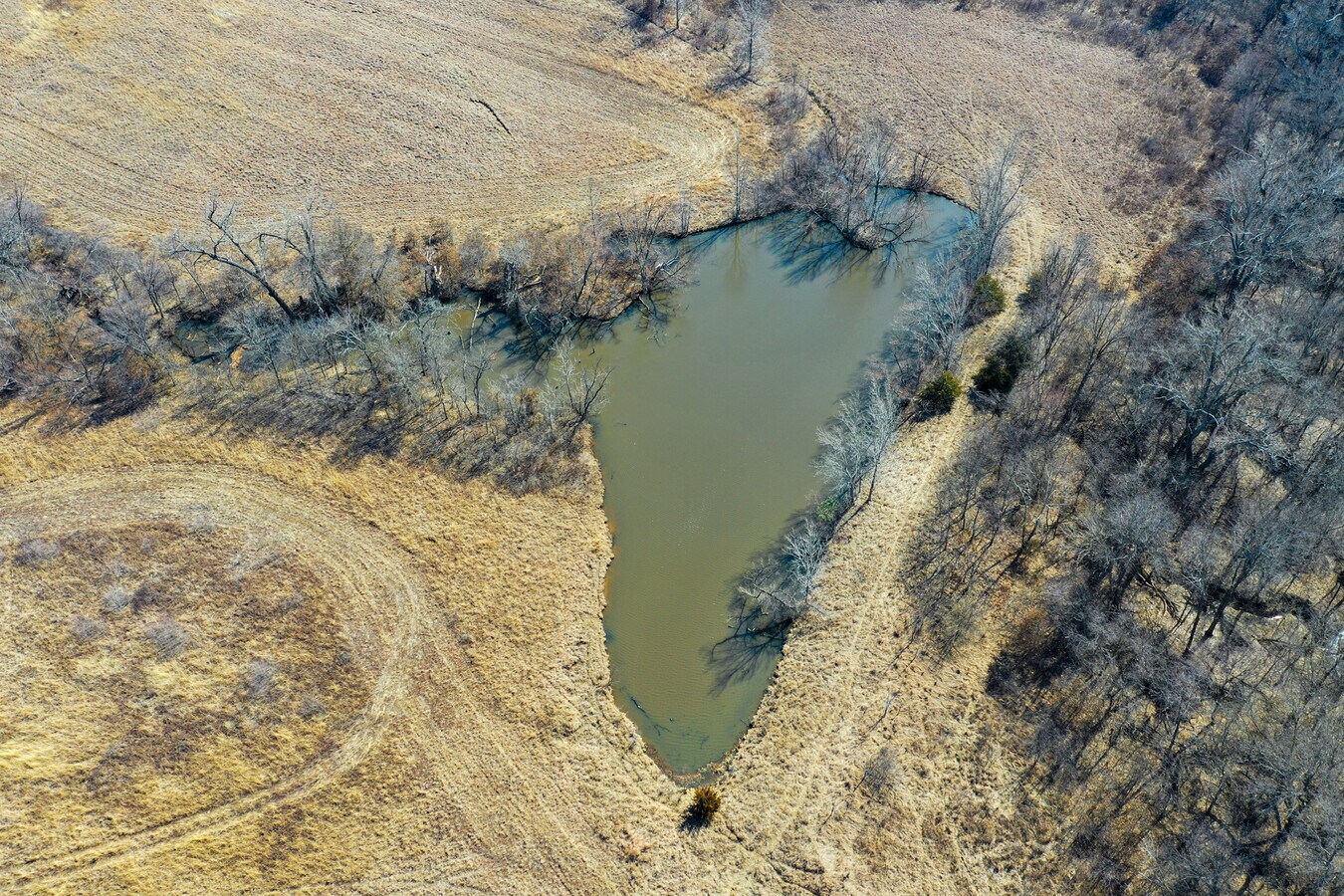 Boulder, Polo, MO 64671