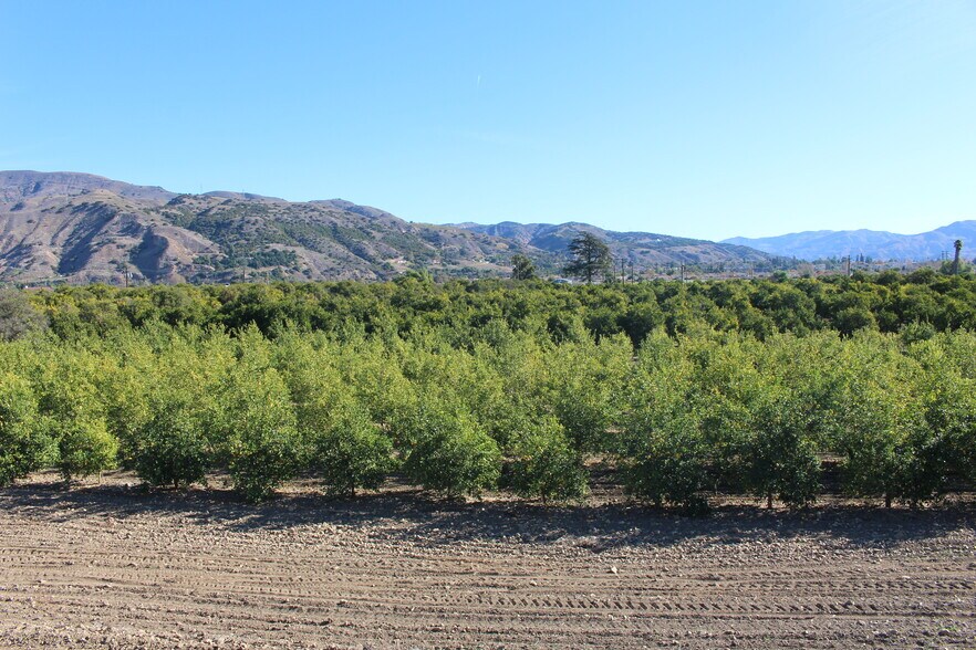 1100 Cliff Ave, Fillmore, CA 93015 Milton Ranch