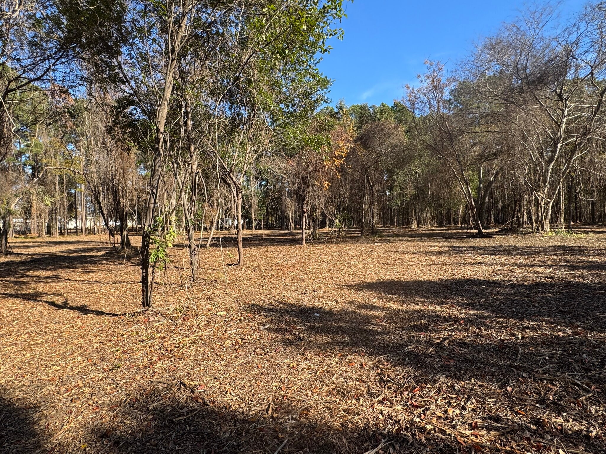 1183 NC-177, Hamlet, NC for sale Primary Photo- Image 1 of 9