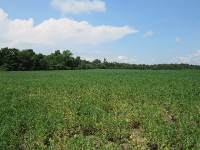 County Rt 19, Livingston, NY for sale - Other - Image 3 of 12