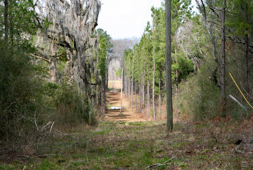 Highway 62, Blakely, GA 39823