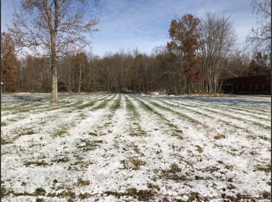 617 E State St, Georgetown, OH for sale - Primary Photo - Image 1 of 1