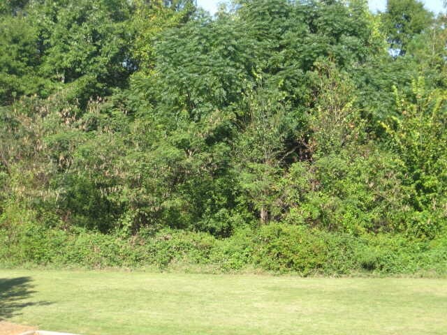 0 Bouldercrest Rd, Ellenwood, GA for sale - Primary Photo - Image 1 of 1