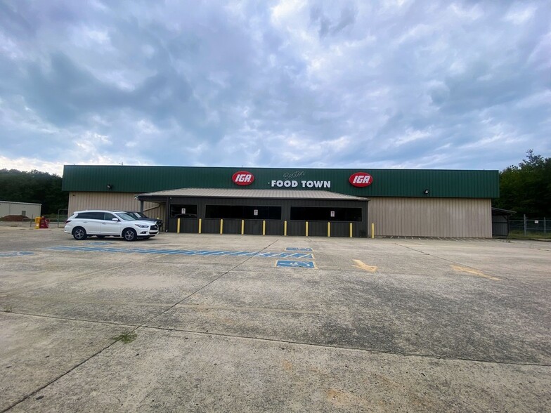 6071 Highway 411, Benton, TN for sale - Primary Photo - Image 1 of 1