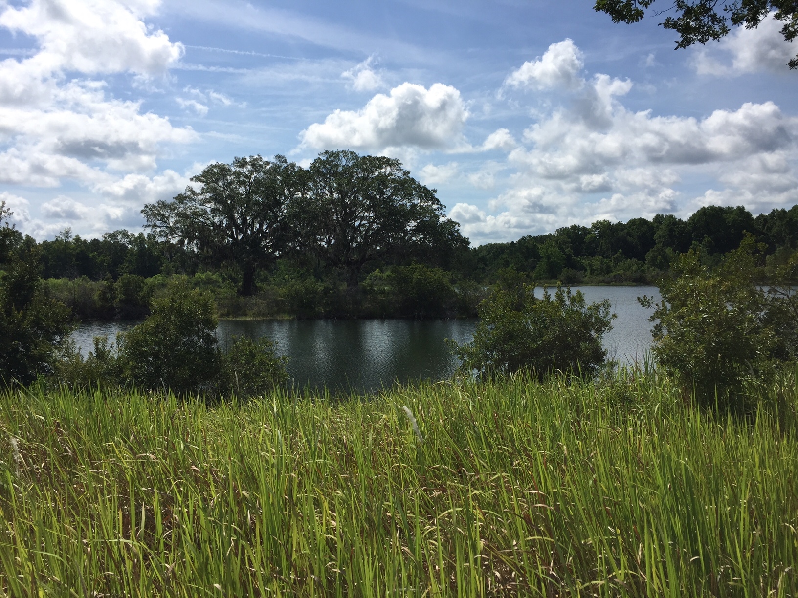 44001 Rolling Hill Ln, Callahan, FL for sale Building Photo- Image 1 of 1