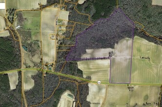 1294 W NC Highway 222, Fremont, NC - AERIAL map view - Image1