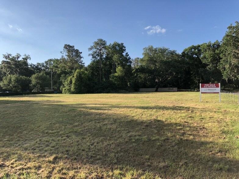 619 Eichenfeld Dr, Brandon, FL for sale - Other - Image 1 of 1