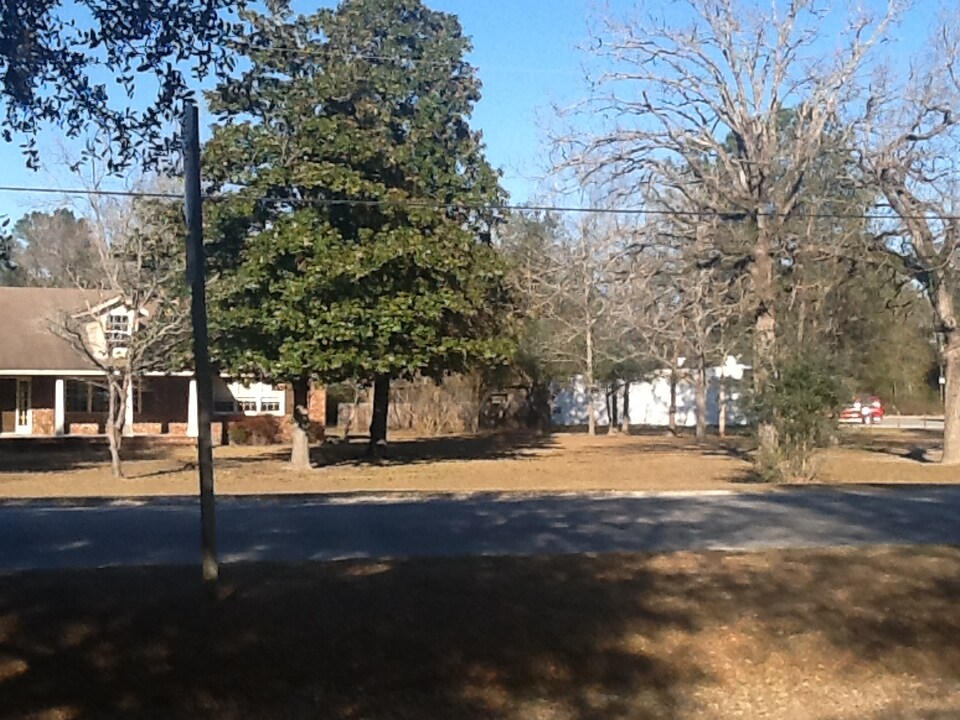 5289 Wilma Edwards Rd, Black Creek, GA 31308 Hwy 280 Near Ga