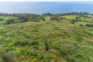 More details for Tract E, Honokaa, HI - Land for Sale