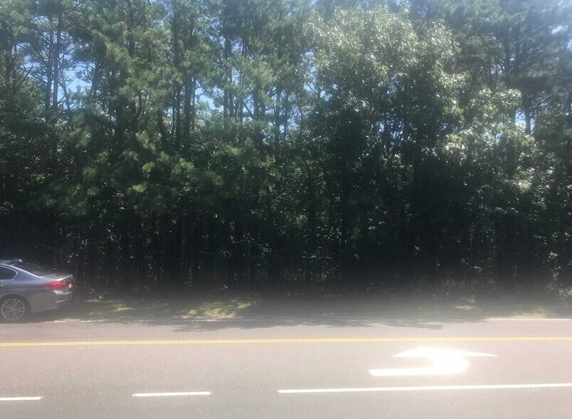 Vi Mastic Rd, Mastic Beach, NY 11951