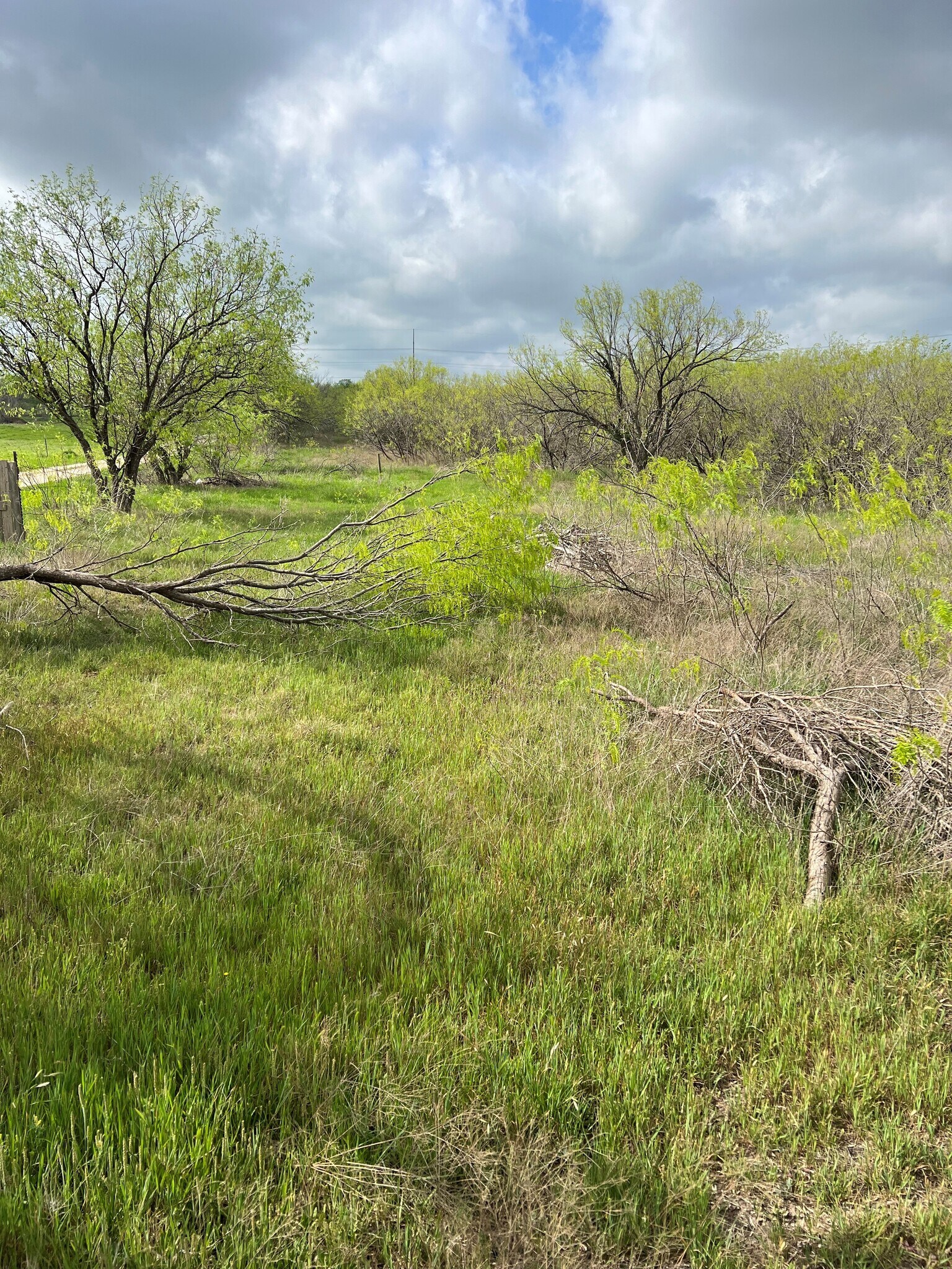 Williamson Rd, Lockhart, TX 78644 Land for Sale