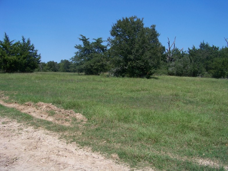 Navasota Ridge, Navasota, TX for sale - Other - Image 1 of 1
