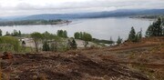 Bradwood Mill Site - Land