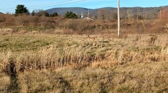 54 Nadalini Dr, Mansfield, PA 16933