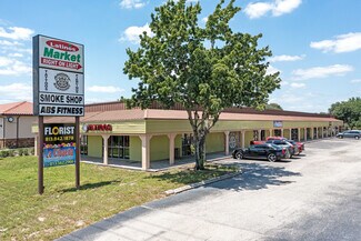 More details for 131 N Mount Carmel Rd, Valrico, FL - Retail for Lease