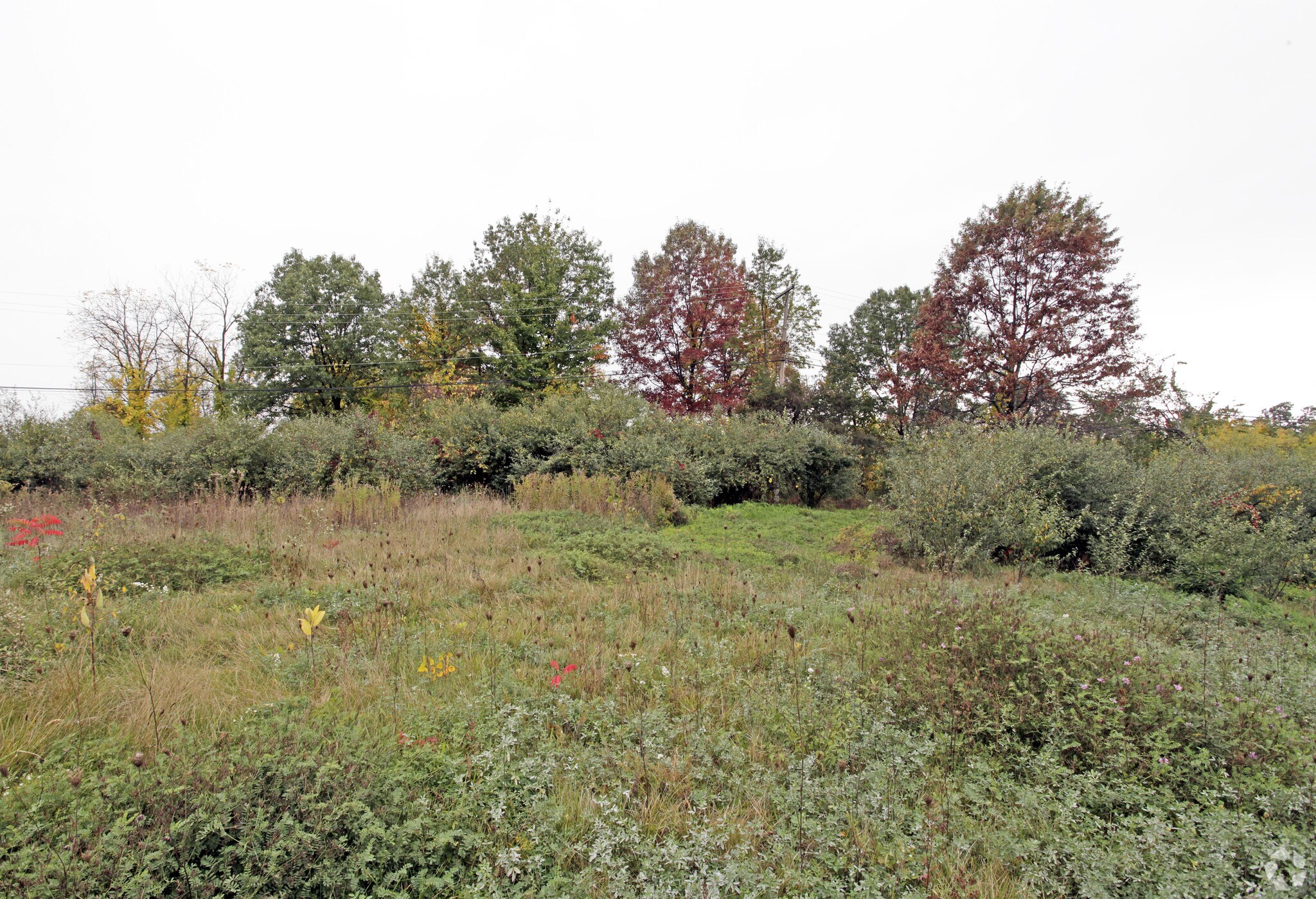 Sashabaw Rd, Clarkston, MI for sale Primary Photo- Image 1 of 1