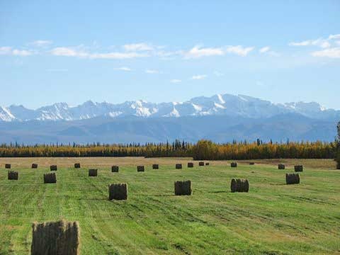 Sawmill Creek Rd, Delta Junction, AK for sale - Primary Photo - Image 1 of 1