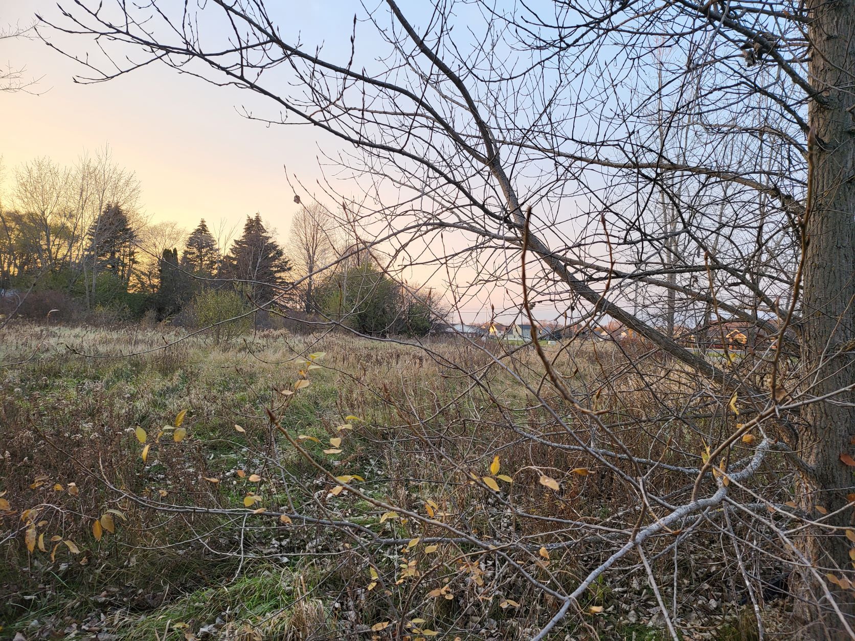 TBD East Broomfield Road, Mount Pleasant, MI for sale Other- Image 1 of 5