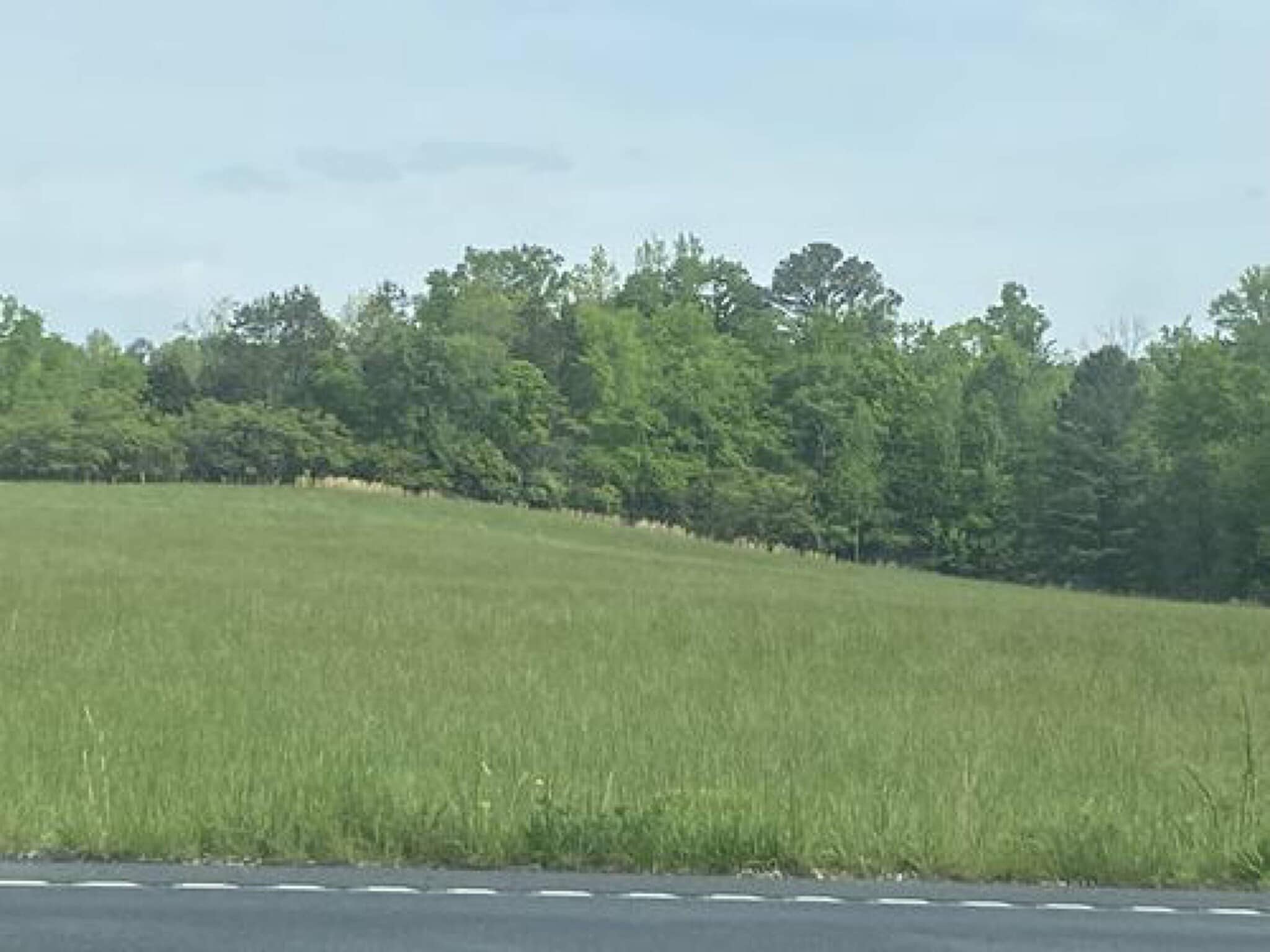 Oreillys Lee Highway 28 - adrhsxe