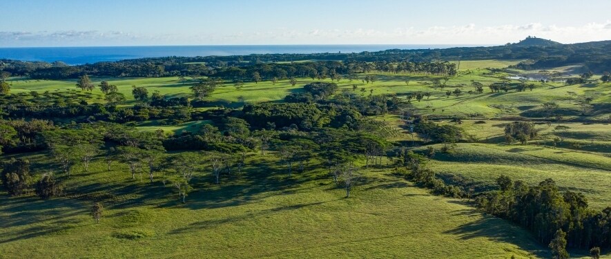 2818 Kamookoa Rd, Kilauea, HI for sale - Primary Photo - Image 1 of 1