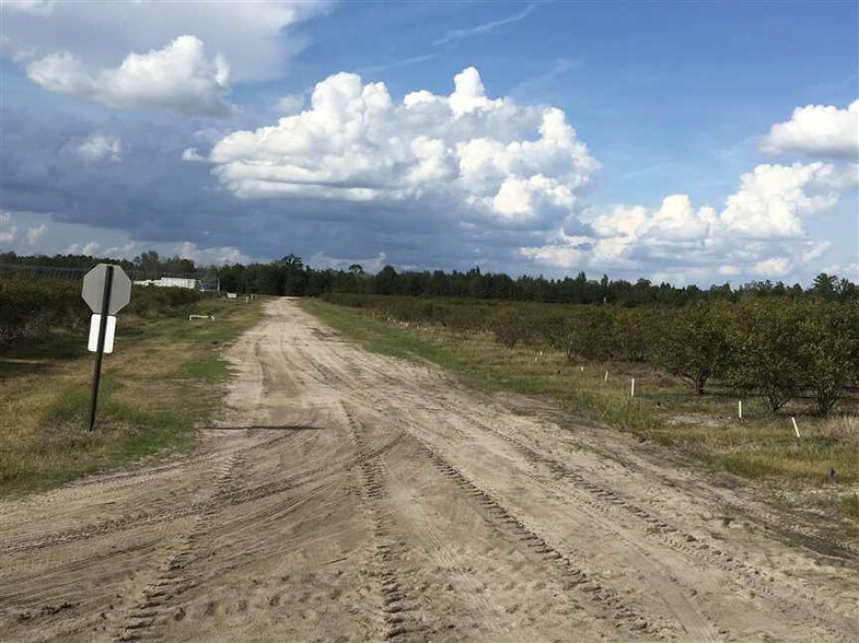 930 Old Surrency Rd, Baxley, GA 31513