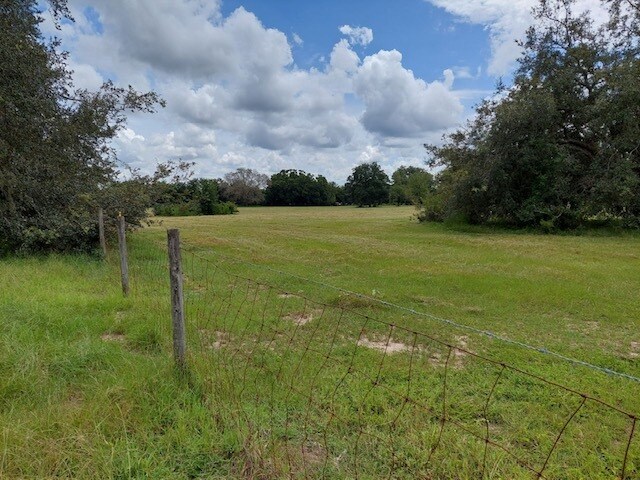 25320 Shetland Trl, Sorrento, FL for sale Primary Photo- Image 1 of 1