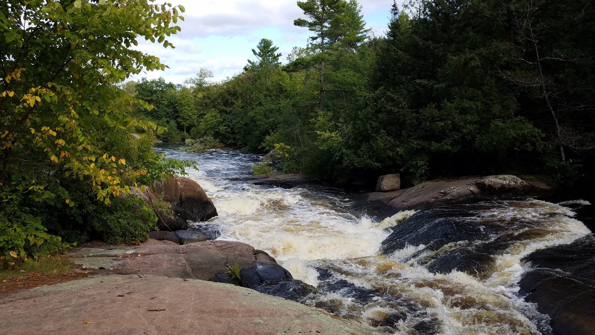 W9653 Butternut Rd, Gresham, WI for sale Primary Photo- Image 1 of 1