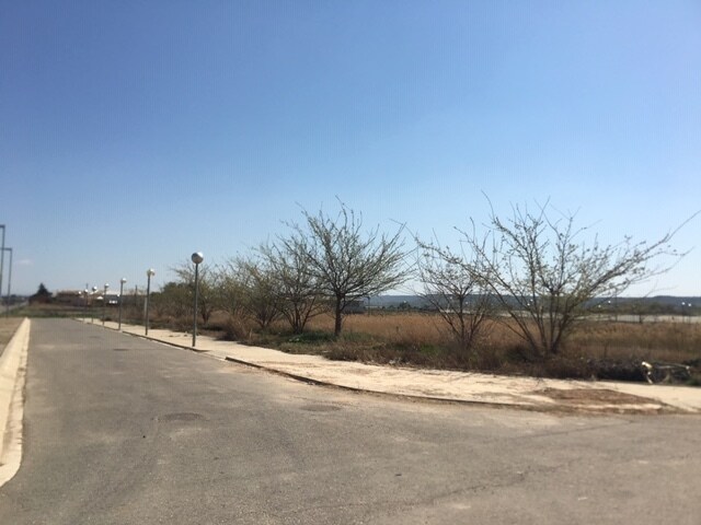 Land in Artesa de Lleida, Lérida for sale - Building Photo - Image 3 of 14