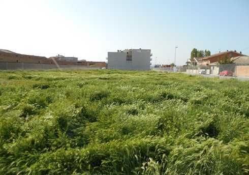 Carrer Lleida, 69, Torregrossa, Lérida for sale - Floor Plan - Image 1 of 4