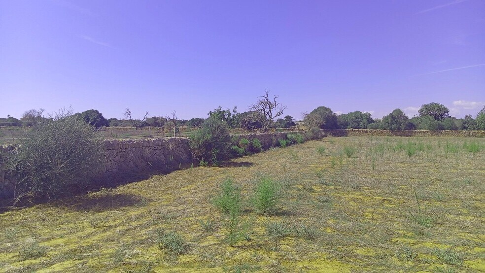 Land in Santanyí, Islas Baleares for sale - Aerial - Image 3 of 4