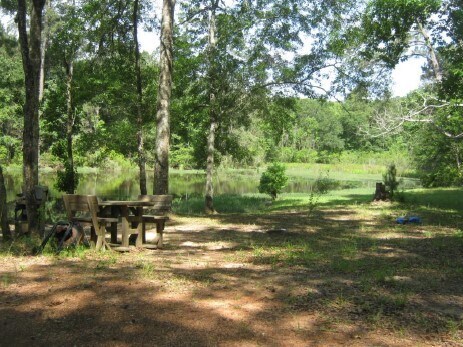 12596 FM 1484 Rd, Conroe, TX for sale Other- Image 1 of 1