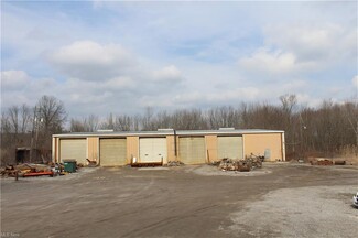 More details for 11838 W Akron Canfield Rd, North Jackson, OH - Flex for Sale