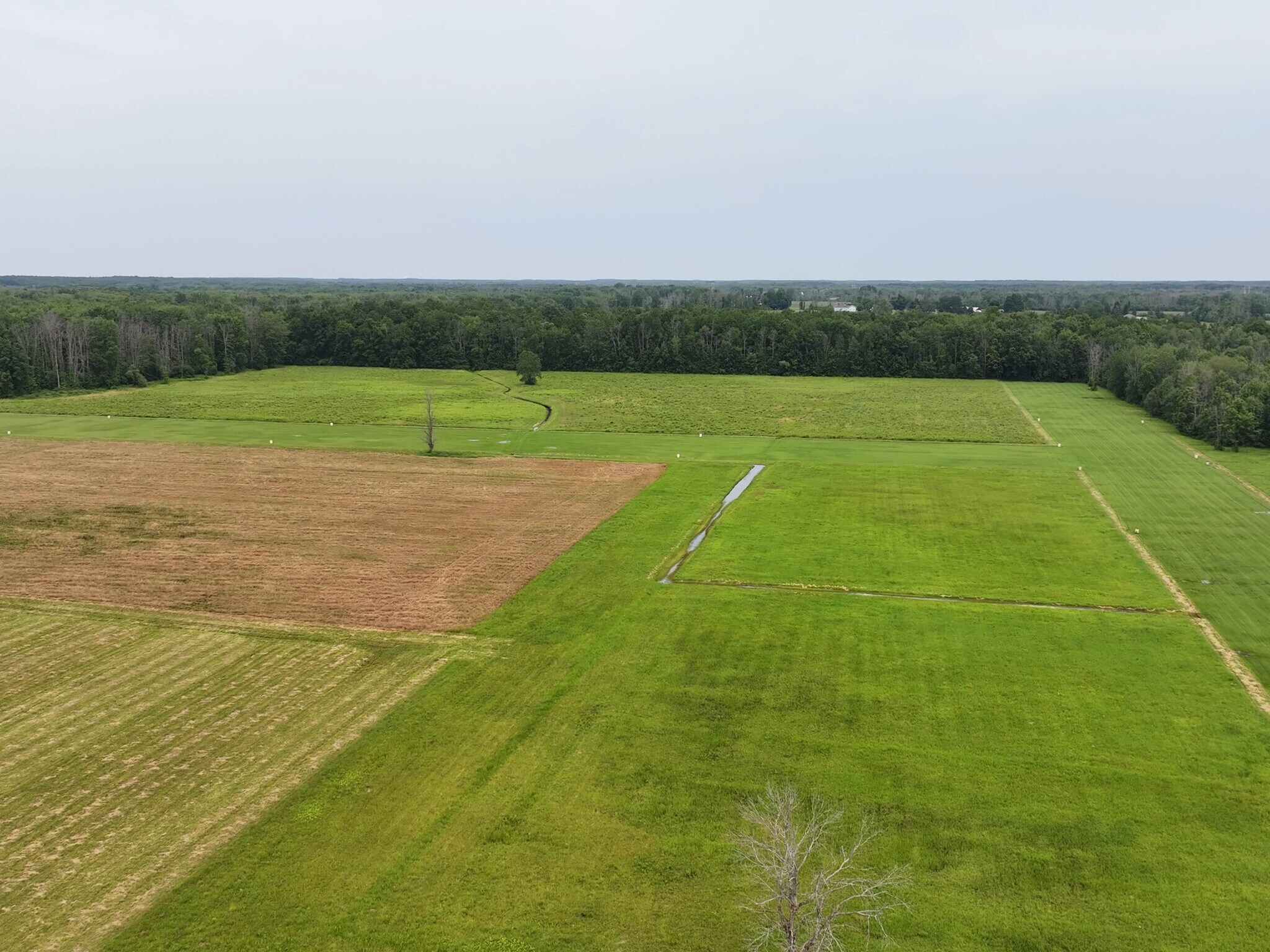 4885 Verplank Rd, Clay, NY 13041 Florczyk Property Verplank