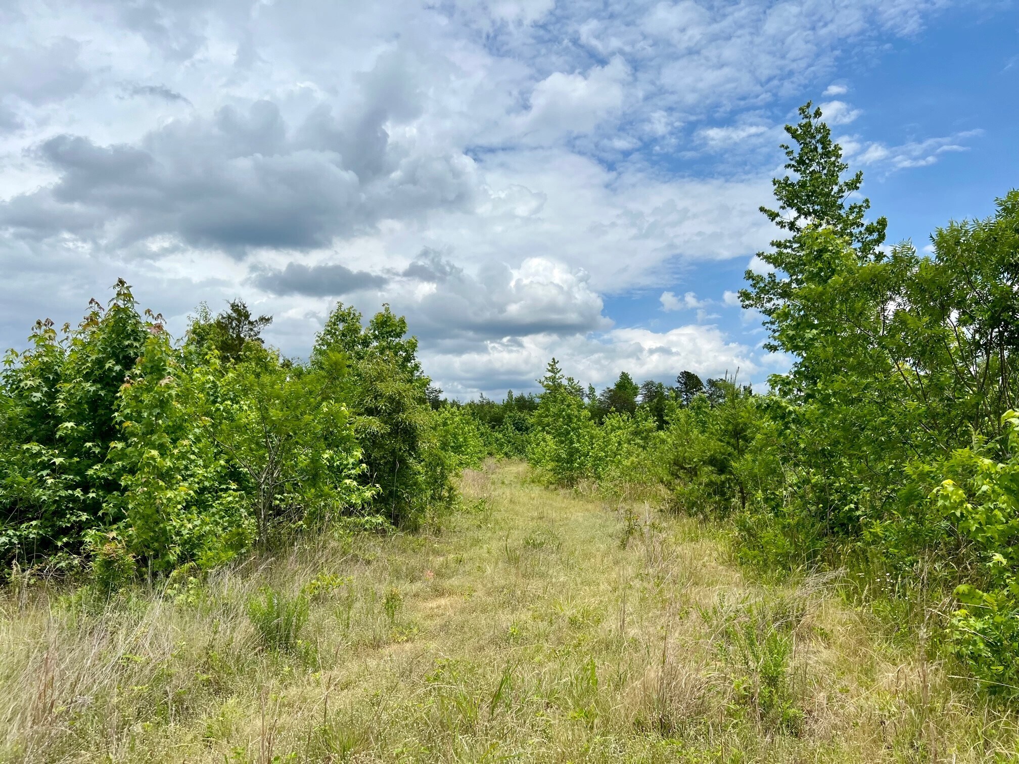 Soap Stone Rd., Gaffney, SC for sale Primary Photo- Image 1 of 1
