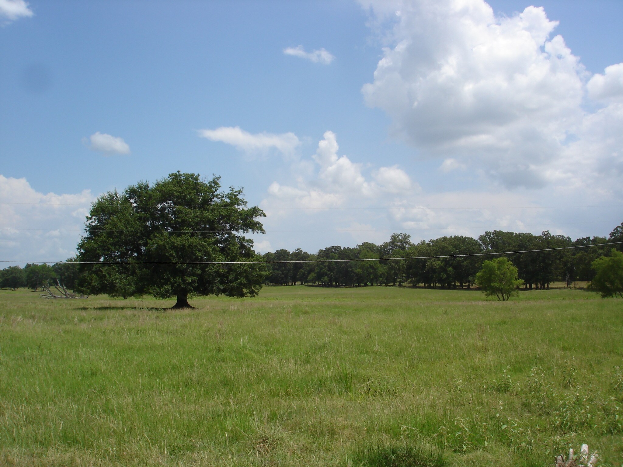 10891 US Highway 82 E, Blossom, TX for sale Other- Image 1 of 1