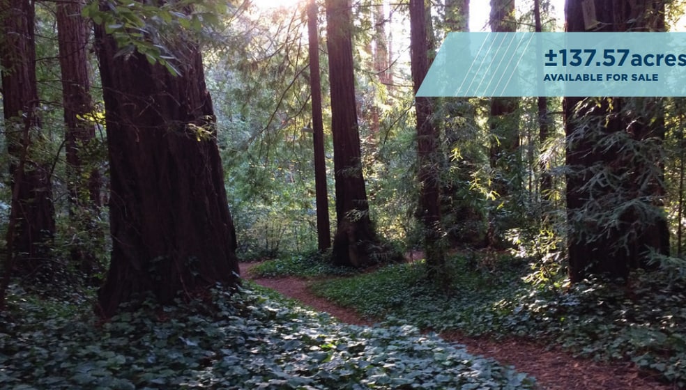 VALUABLE TIMBERLAND, La Honda, CA for sale - Primary Photo - Image 1 of 6