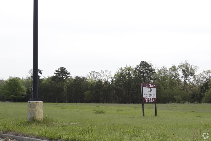 3886 Hwy 17, Eastanollee, GA for sale - Primary Photo - Image 1 of 1